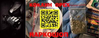 крисы Кингисепп