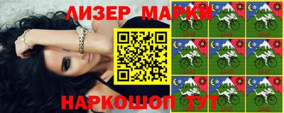 крисы Кингисепп