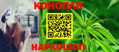 крисы Кингисепп