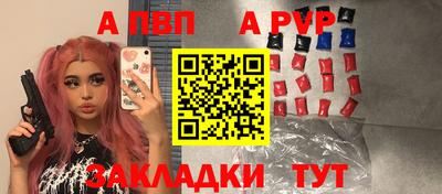 крисы Кингисепп