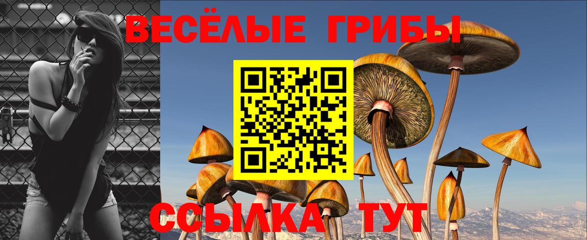 Кудрово  где можно купить наркотик  Галлюциногенные грибы мухоморы  Вход с VPN  Псилоцибиновые грибы мицелий 